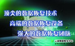 2024年部分数据恢复技术展示