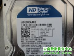 云南广播电视大学WD5000AAKS数据恢复成功