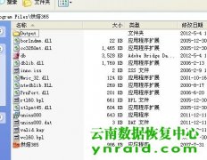 某单位烘焙软件DB数据库修复成功