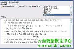 云南锡业股份有限公司WORD修复成功