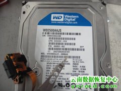 南方电网公司WD2500AAKS硬盘异响数据恢复成功