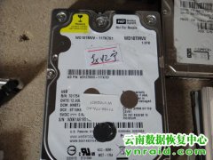 赵先生西数1TB原装移动硬盘USB3.0接口开盘成功