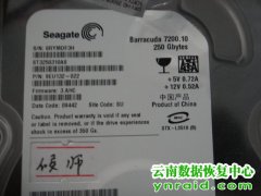 侯先生希捷ST3250310AS磁头坏开盘数据恢复成功