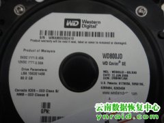 地州个人客户西数WD800JD不认盘数据恢复成功