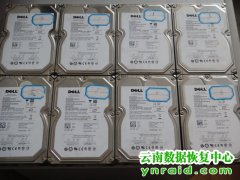 彝良县广播电视局8块盘RAID5两块盘报黄灯恢复成功