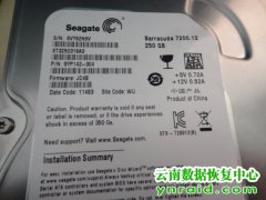 云南白药集团股份有限公司硬盘异响数据恢复成功