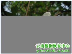 个人数码相机格式化二次数据恢复成功