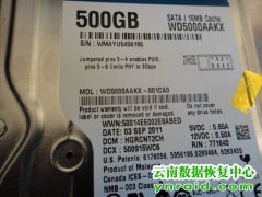 个人客户WD5000AAKX硬盘检测不到数据恢复成功