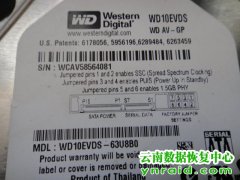 地州客户西数1TB硬盘检测不到数据恢复成功