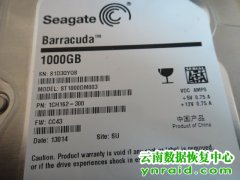 个人台式机硬盘误分区导致数据丢失恢复成功