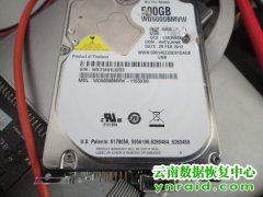 中科院昆明植物所西数USB3.0移动硬盘开盘数据成功