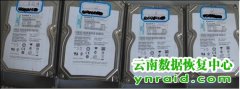西双版纳州委党校IBM服务器4快盘RAID1+0恢复成功
