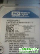 云南电网公司临沧供电局西数320G硬盘开盘成功