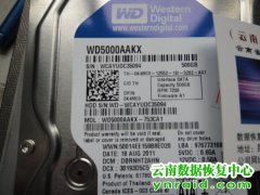 地州某消防单位台式机硬盘WD5000AAKX恢复成功