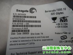 某地州政府单位希捷320硬盘电机坏开盘数据恢复成功