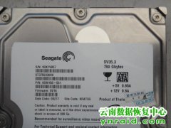 昆明某公司ST3750330SV硬盘检测不到数据恢复成功