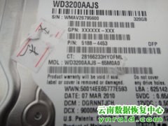 何先生台式机WD3200AAJS-65M0A0不认盘数据恢复成功