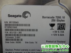 昆明某公司网站服务器硬盘ST3250310AS数据恢复成功