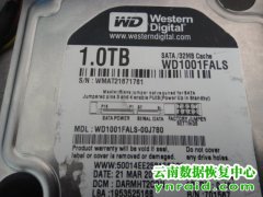 迪庆某公司西数WD1001FALS 11号模块损坏数据恢复成功
