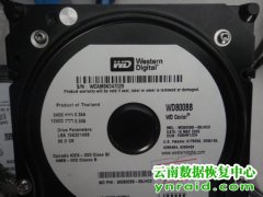 文山数据恢复案例-WD800BB台式机硬盘恢复成功