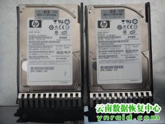 普洱鸿仁堂药业有限公司药易通数据库恢复成功