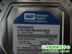 昆明数据恢复案列-WD5000AAKX-083CA1检测不到硬盘