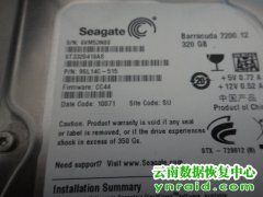 个人客户希捷台式机320G硬盘ST332041AS忙