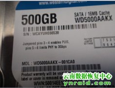 地州某公安局西数500G台式机硬盘开盘数据恢复成功