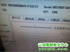 保山数据恢复案例-西数E元素移动硬盘固件坏恢复成功