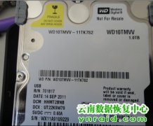 个人西数E元素1TB移动硬盘磁头损坏数据恢复成功