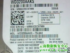 某单位3块西数台式机硬盘磁头损坏开盘恢复成功