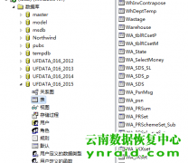 云南南磷集团股份有限公司用友数据库二次恢复成功